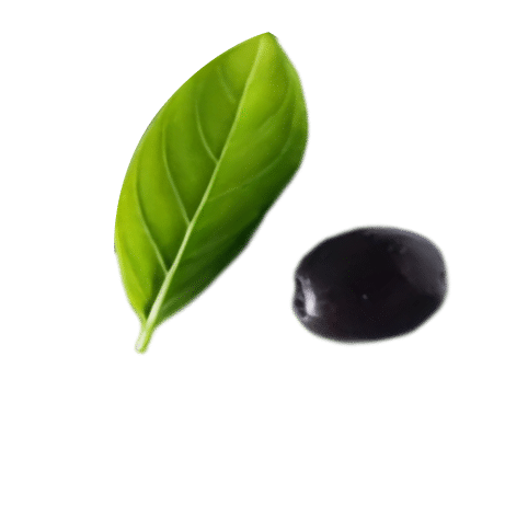 Green leaf and black olive