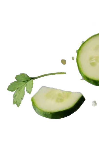 Sliced cucumber with a cilantro leaf