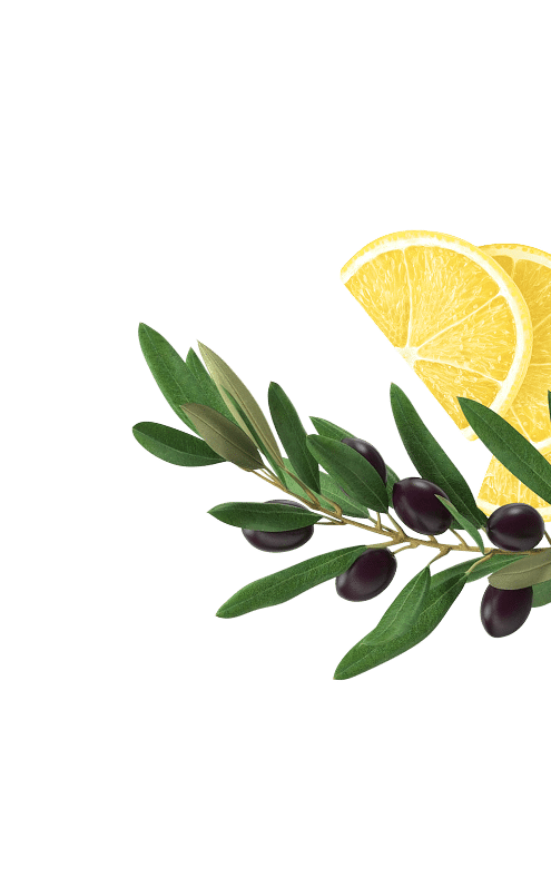 Lemon slices and olive branch arrangement